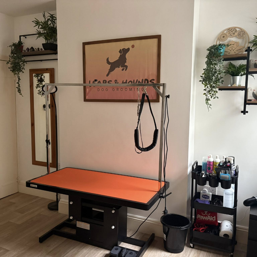 The interior of a dog grooming salon.