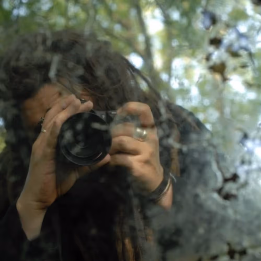 A photographer in woodland.