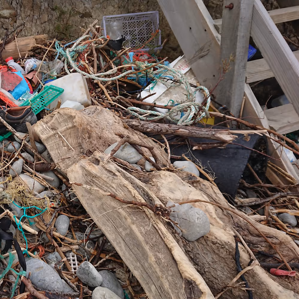 Discarded rubbish washed up on a beach.