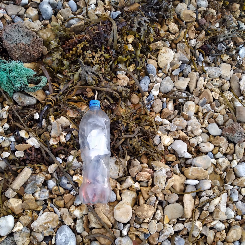 A discarded plastic bottle on a beach.