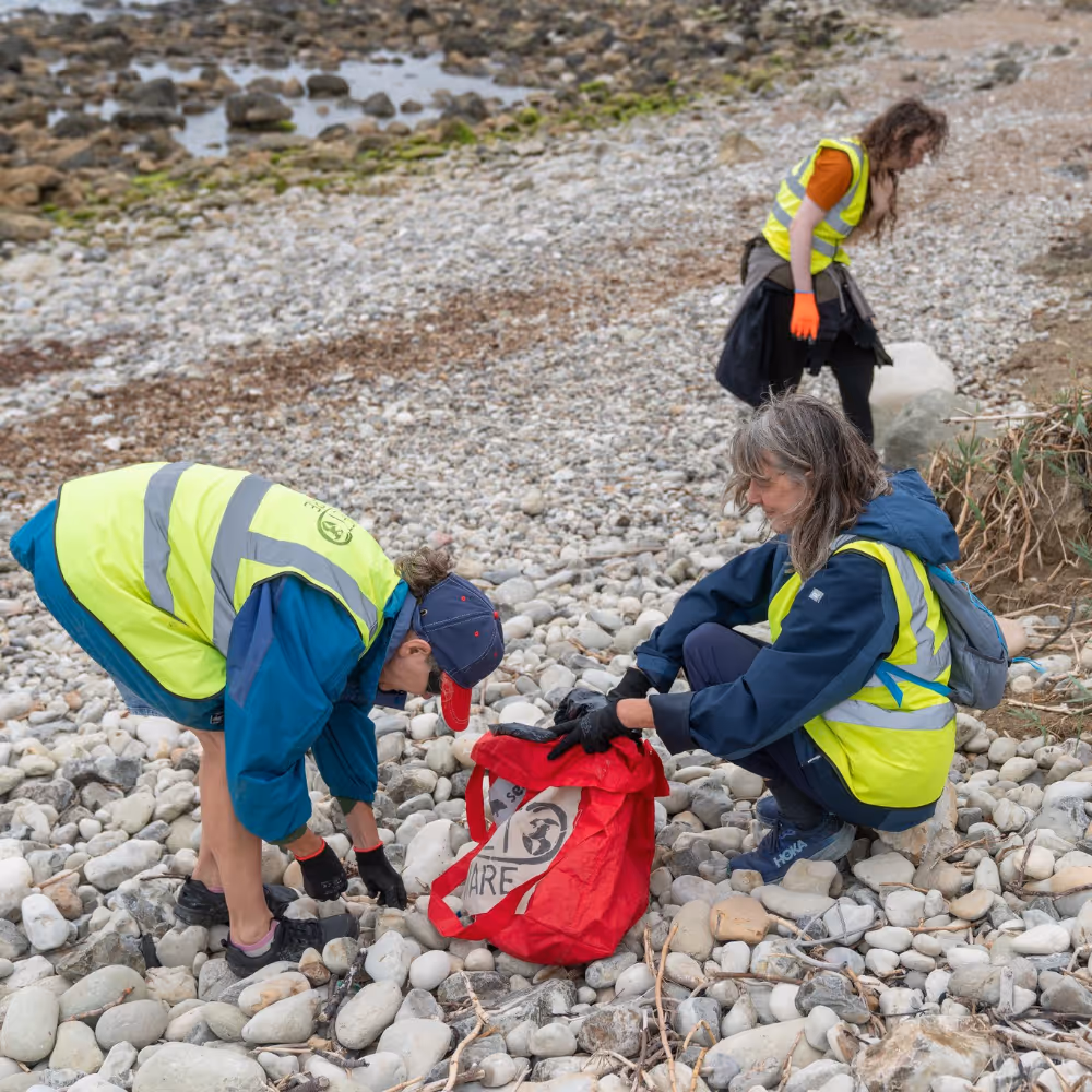 Beach cleaning volunteers.