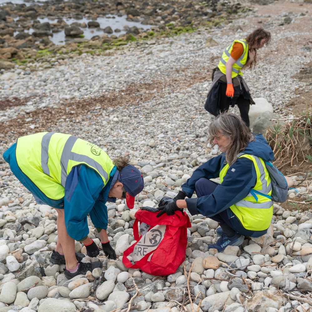 Beach cleaning volunteers.