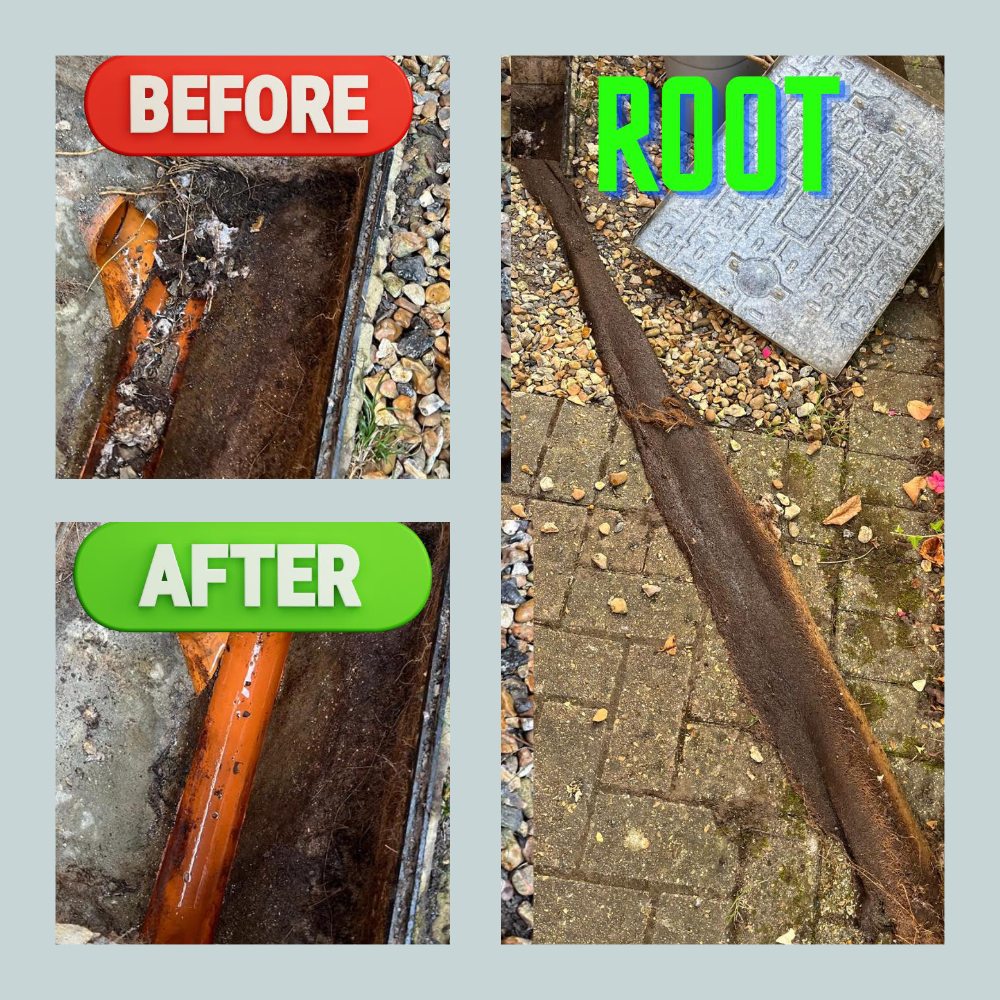 Before and after photos of a tree root removed from an underground drain