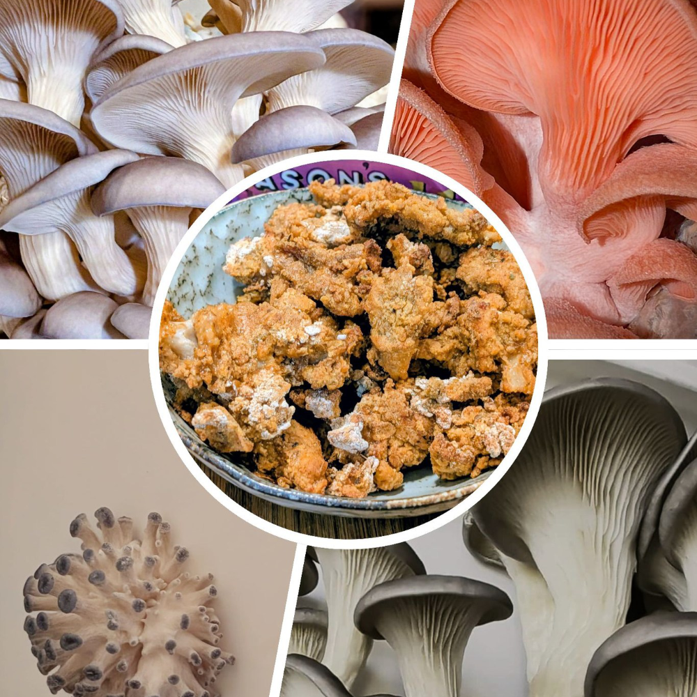 Various images of farmed exotic mushrooms