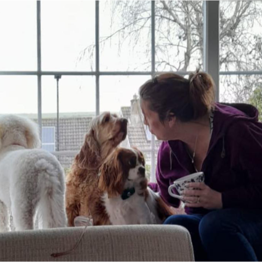 A woman sitting on a window seat with three small dogs.