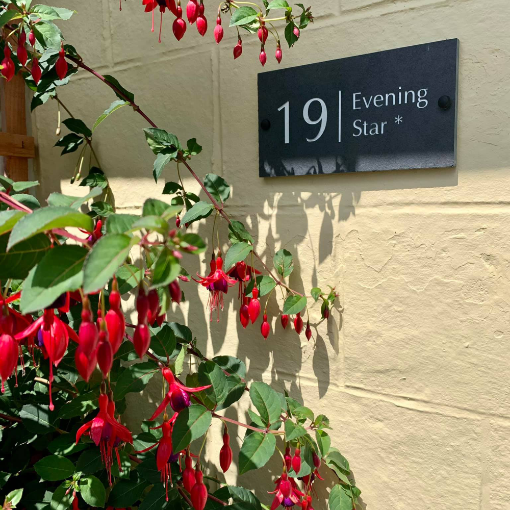 A house sign on a cream wall with a red fuchsia plant.