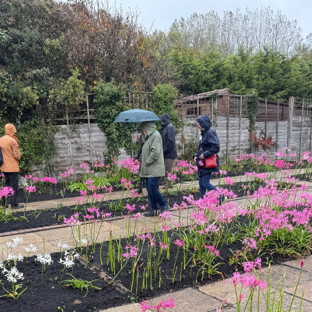 People with umbrellas walking around a plant nursery
