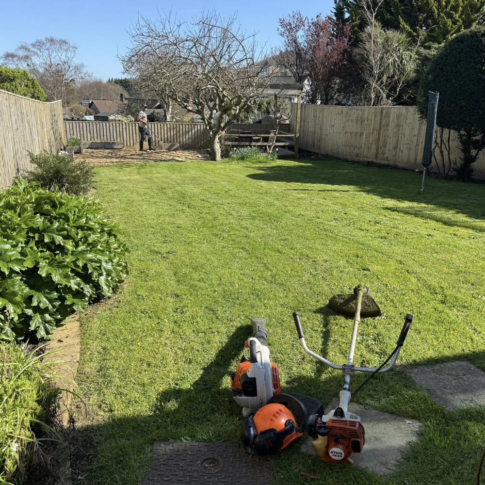 A freshly cut lawn