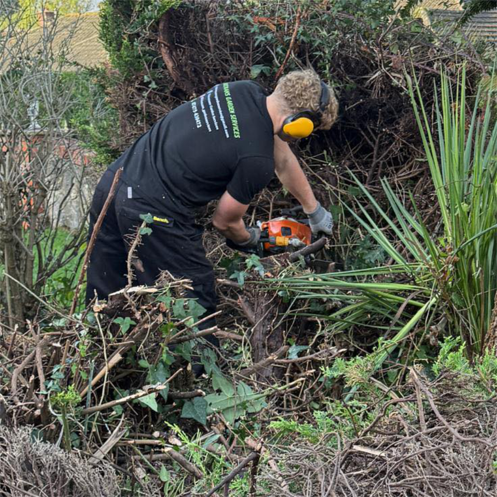 A gardener tidying some shrubery