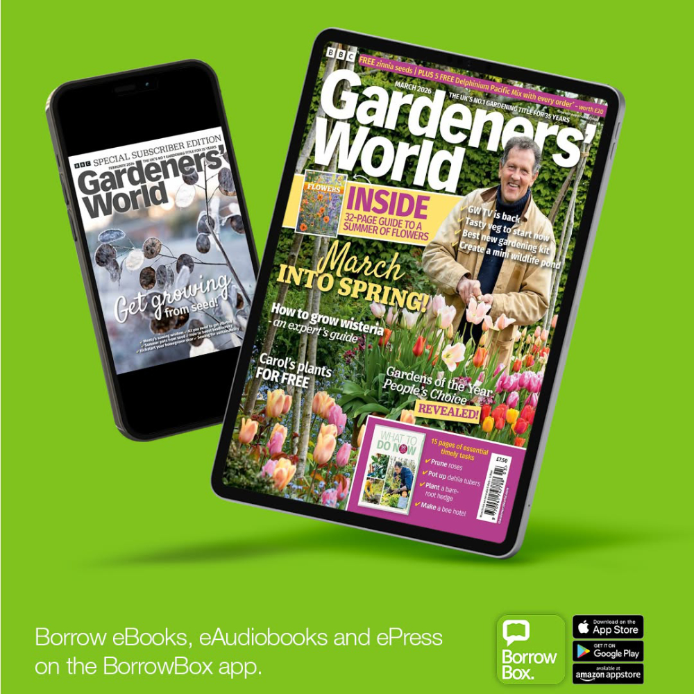An advert for an eMagazine.
