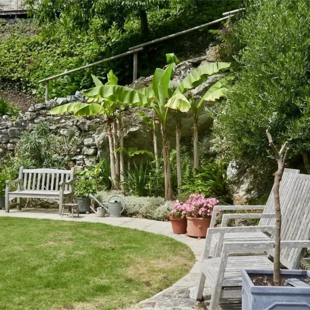 A lush sub tropical style garden.