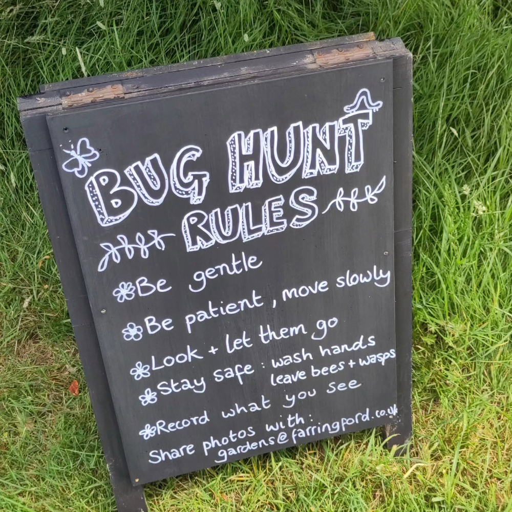 A sign for kids about a bug hunt.