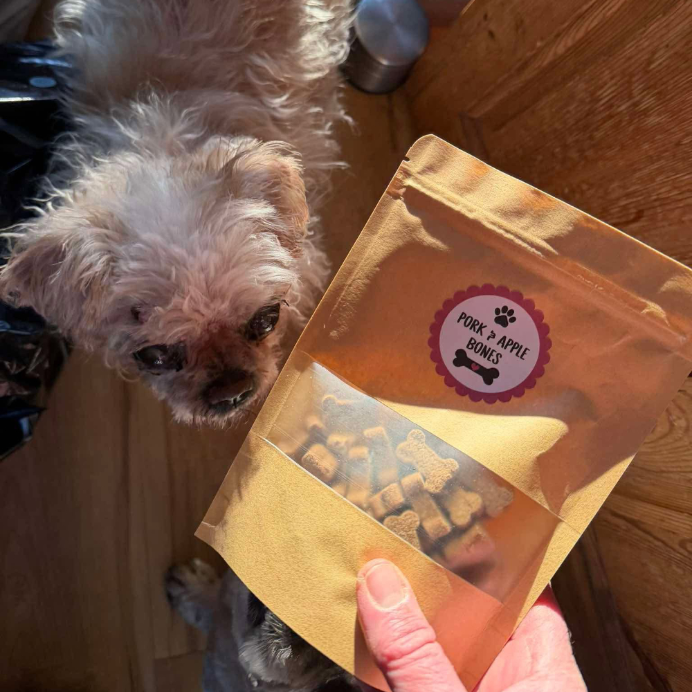 Someone showing a dog a bag of treats.