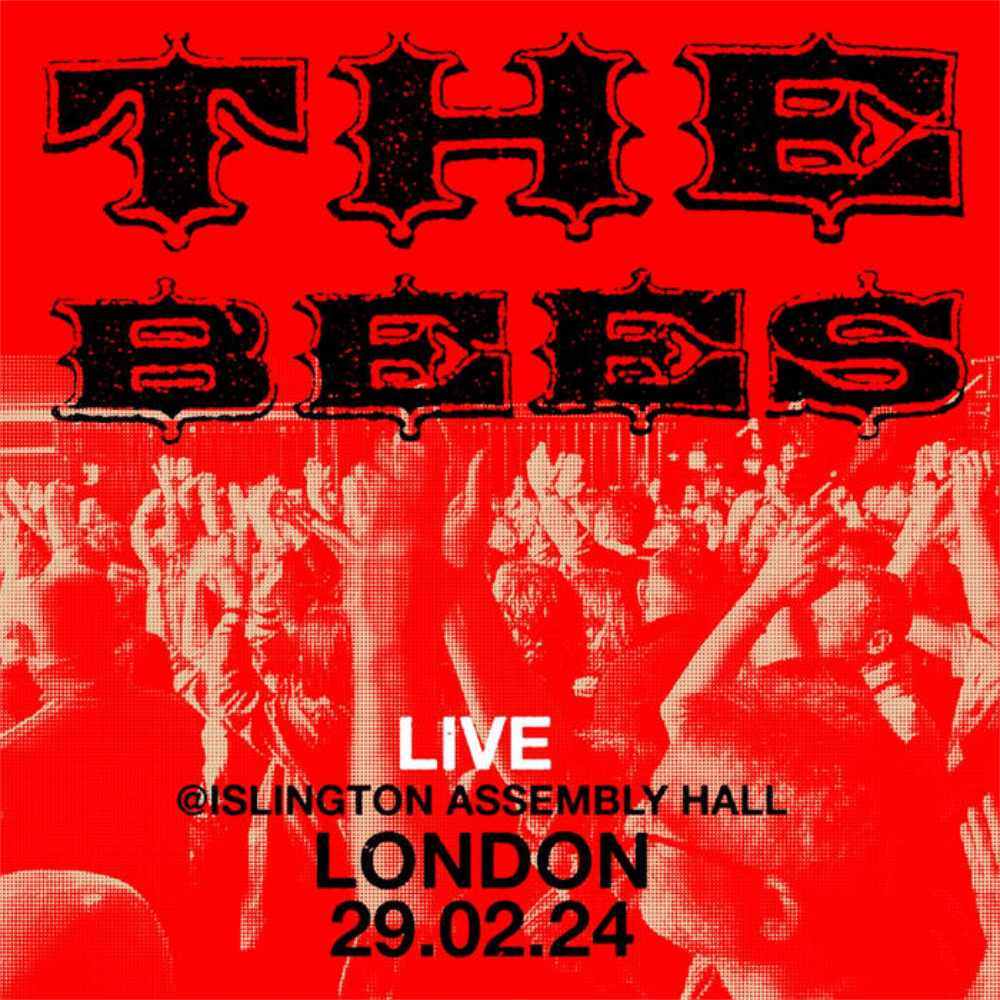 An album cover by the band called The Bees.