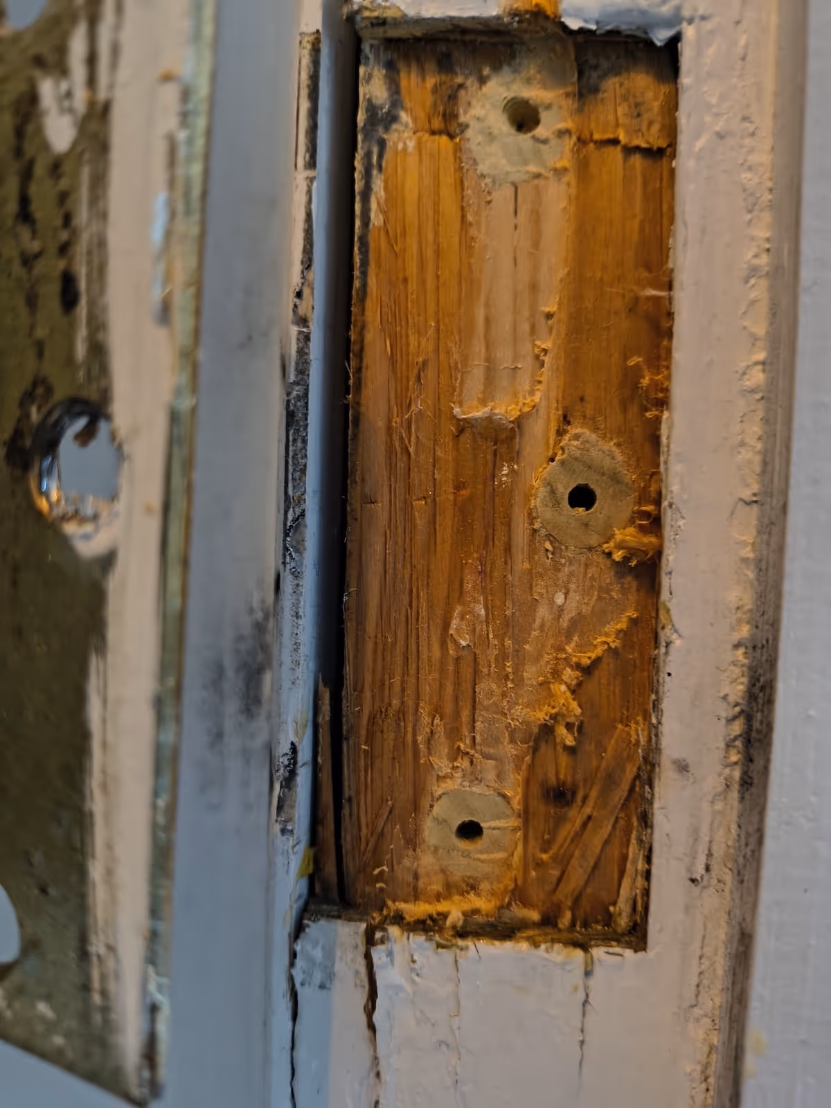 Door hinge repair in Florida, NY