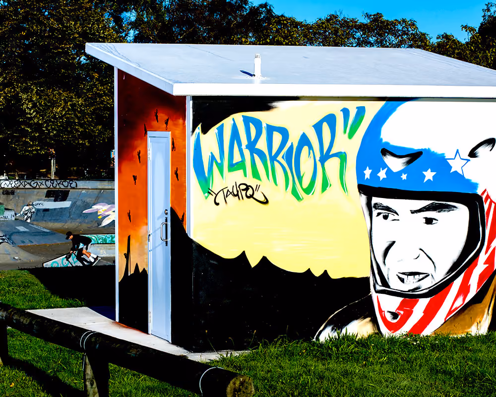 Taupo Skate Park - Permaloo 66