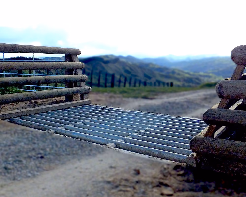 Cattle Stop - Permacrete 2