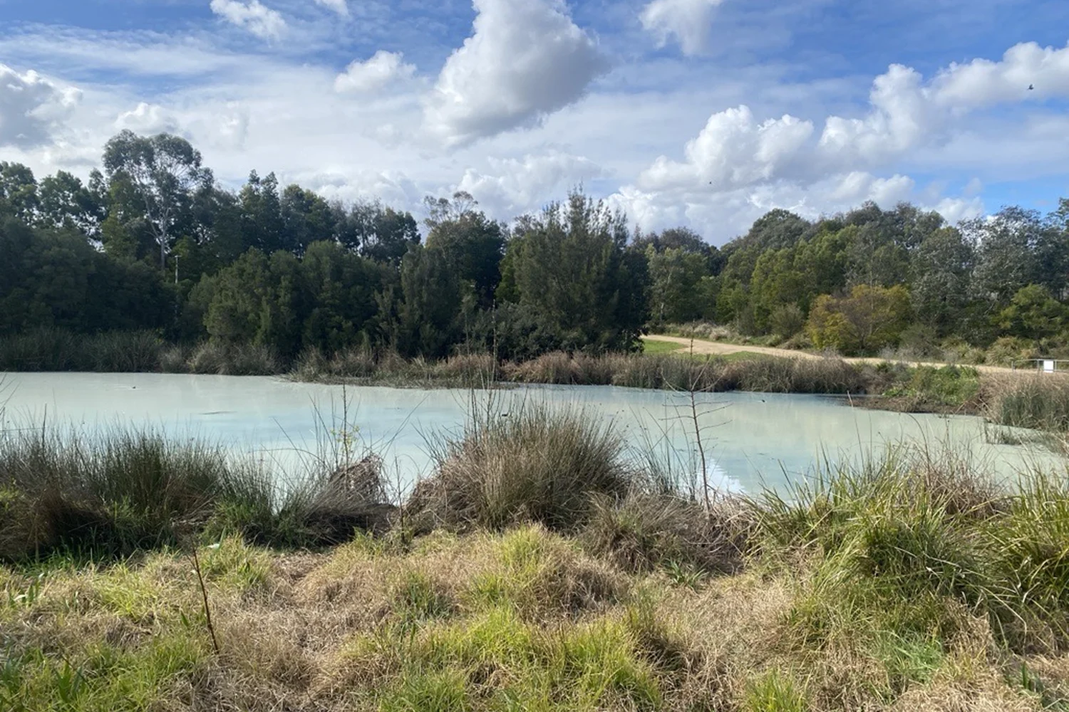 The Snap that sparked a wetland investigation