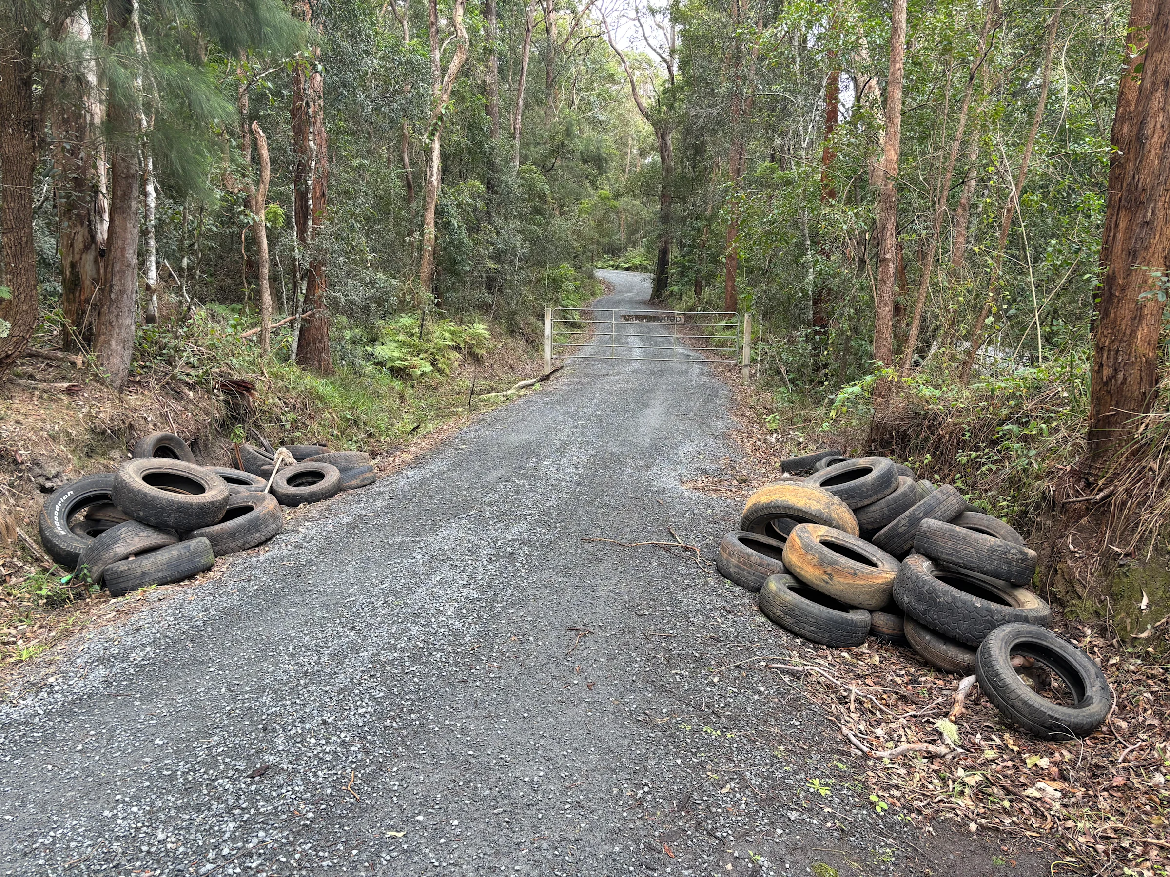 Dumped tyres costing millions, but Snappers are part of the solution