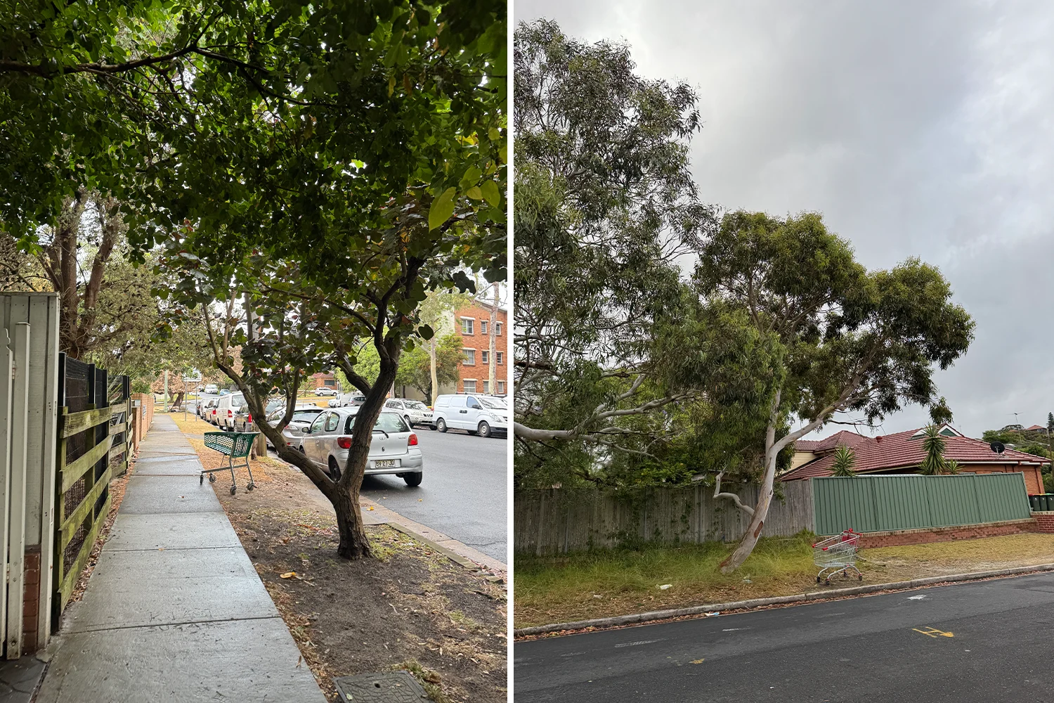 Dumped trolley Snaps triple in four years