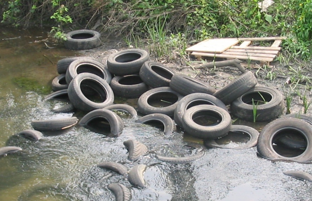 Stop Tyre Dumping: How You Can Help Protect Our Environment with Just One Snap 