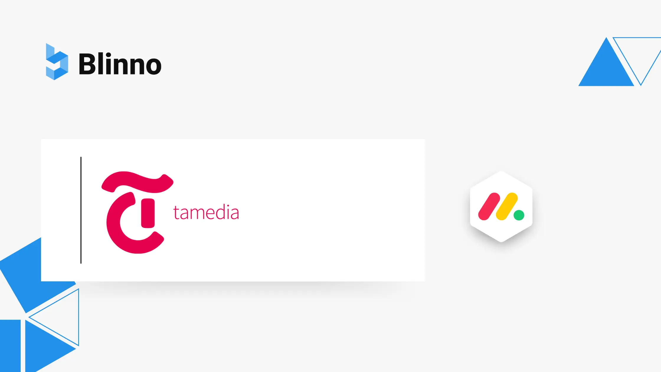 Tamedia Advertising AG Referenz Blinno GmbH