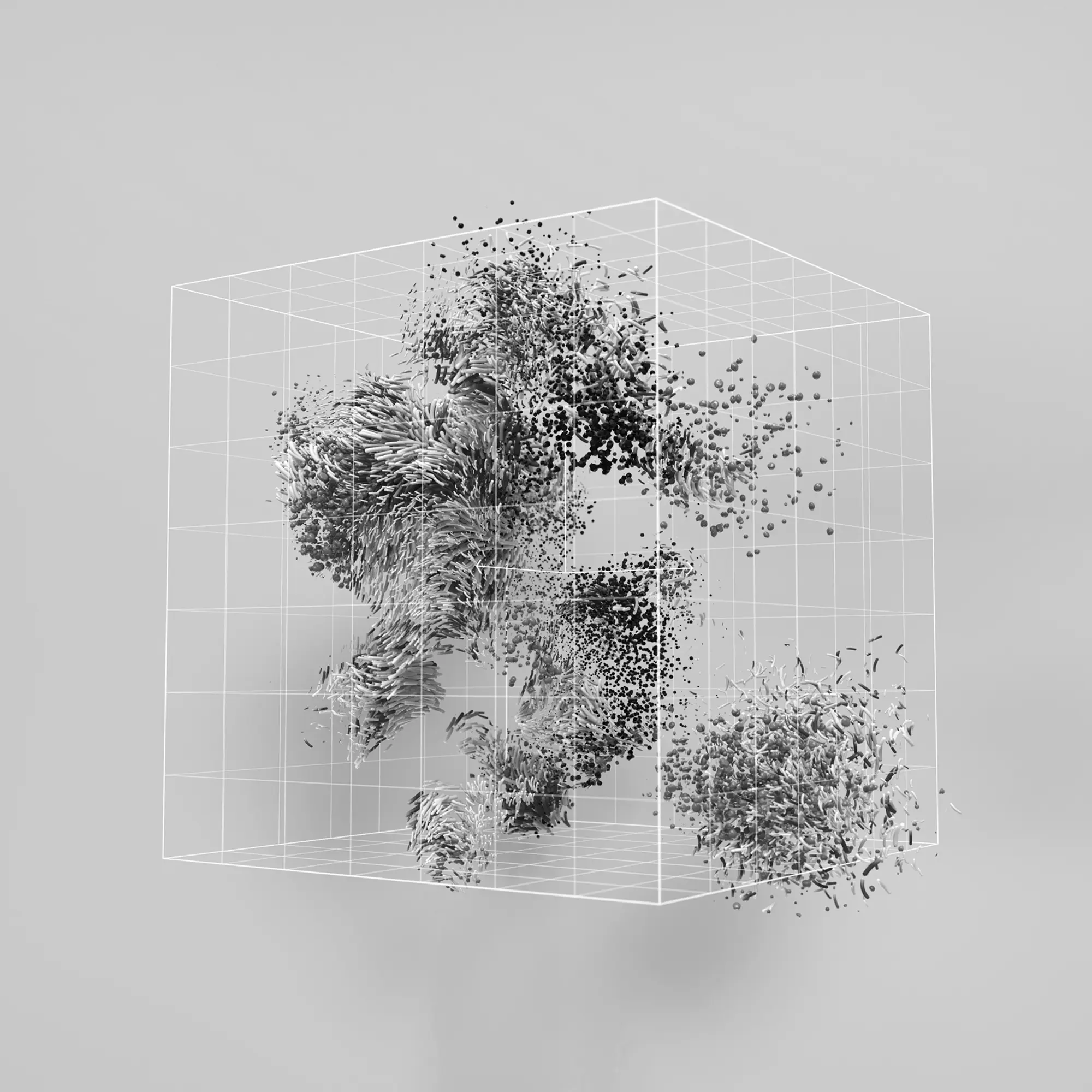 Abstract black-and-white render of particles forming shapes inside a wireframe cube