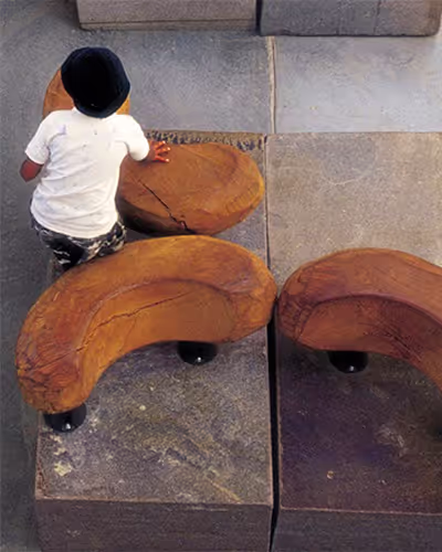 picapiedras bench