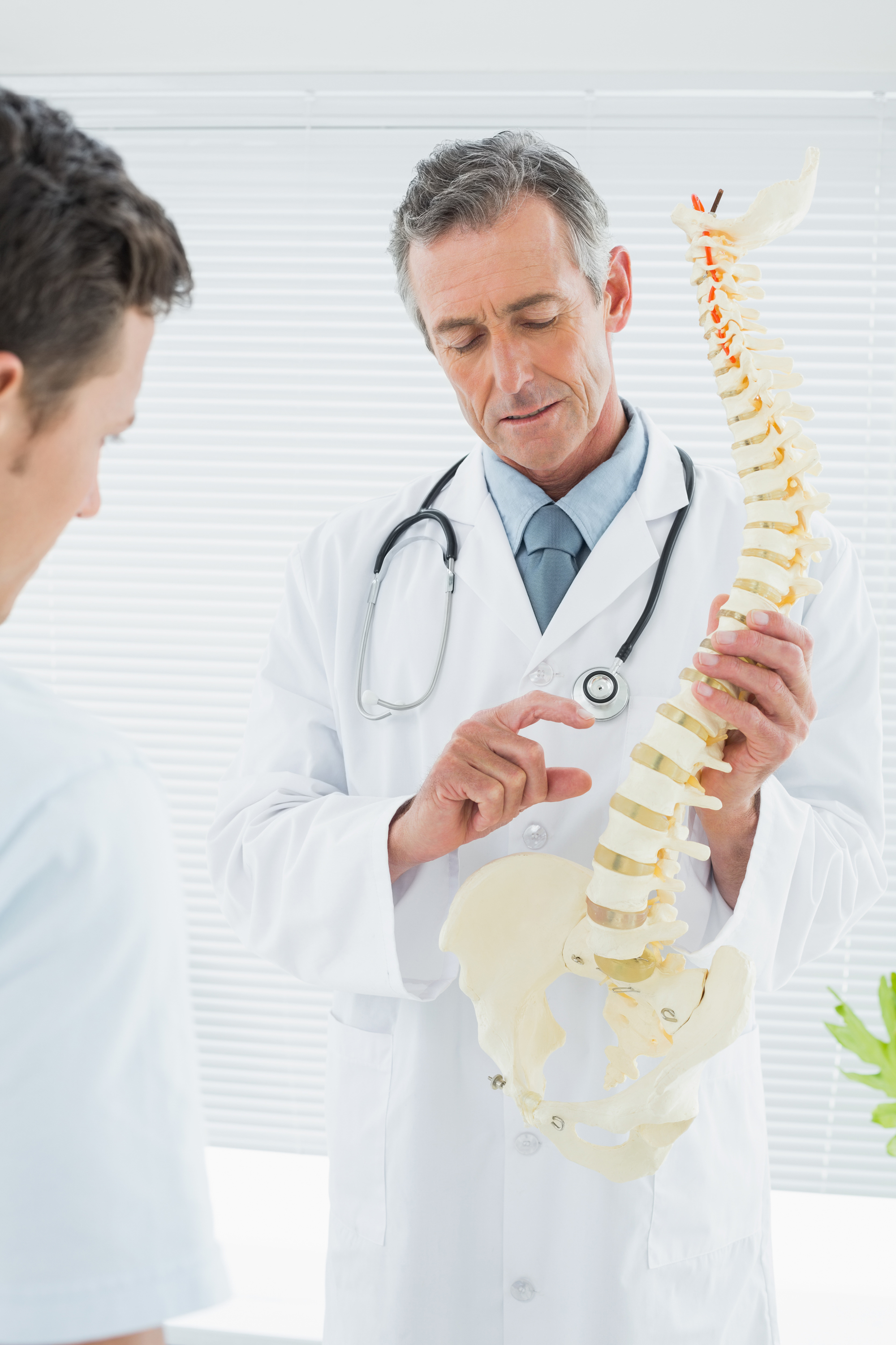 Ursachen für Wibelsäulenarthrose