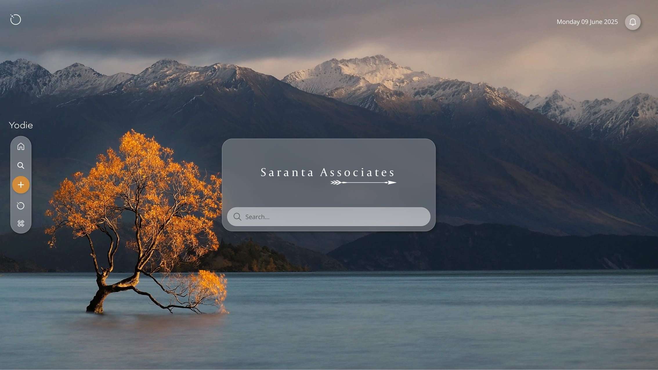 Yodie 6's tree theme