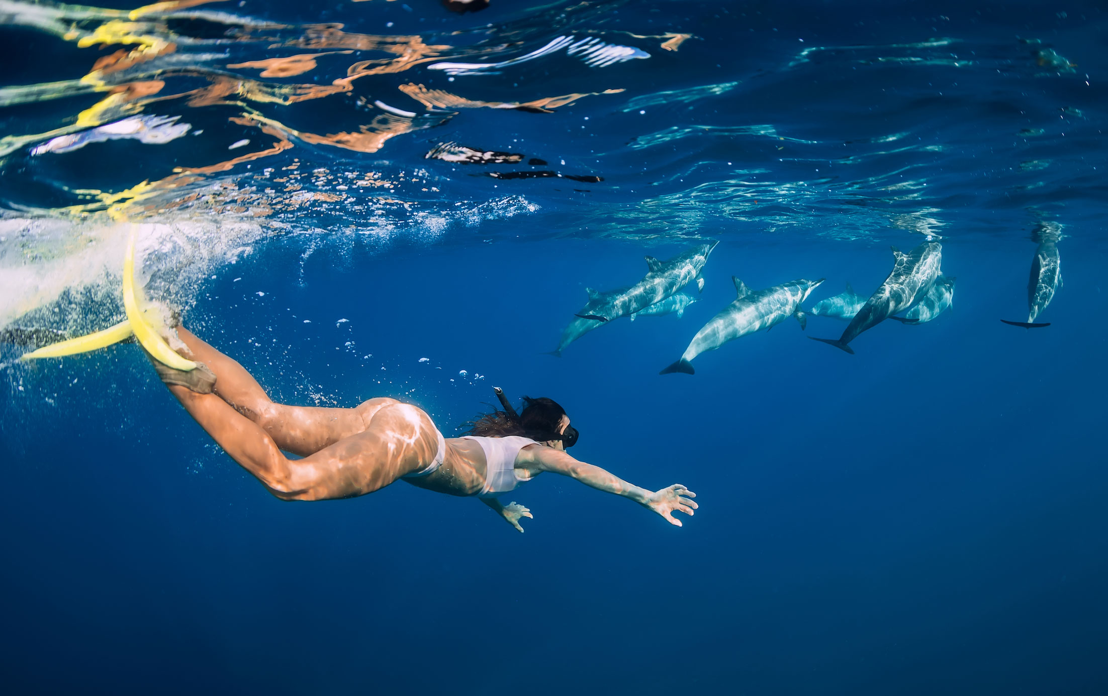 A female swimming in the sea with Dolphins 