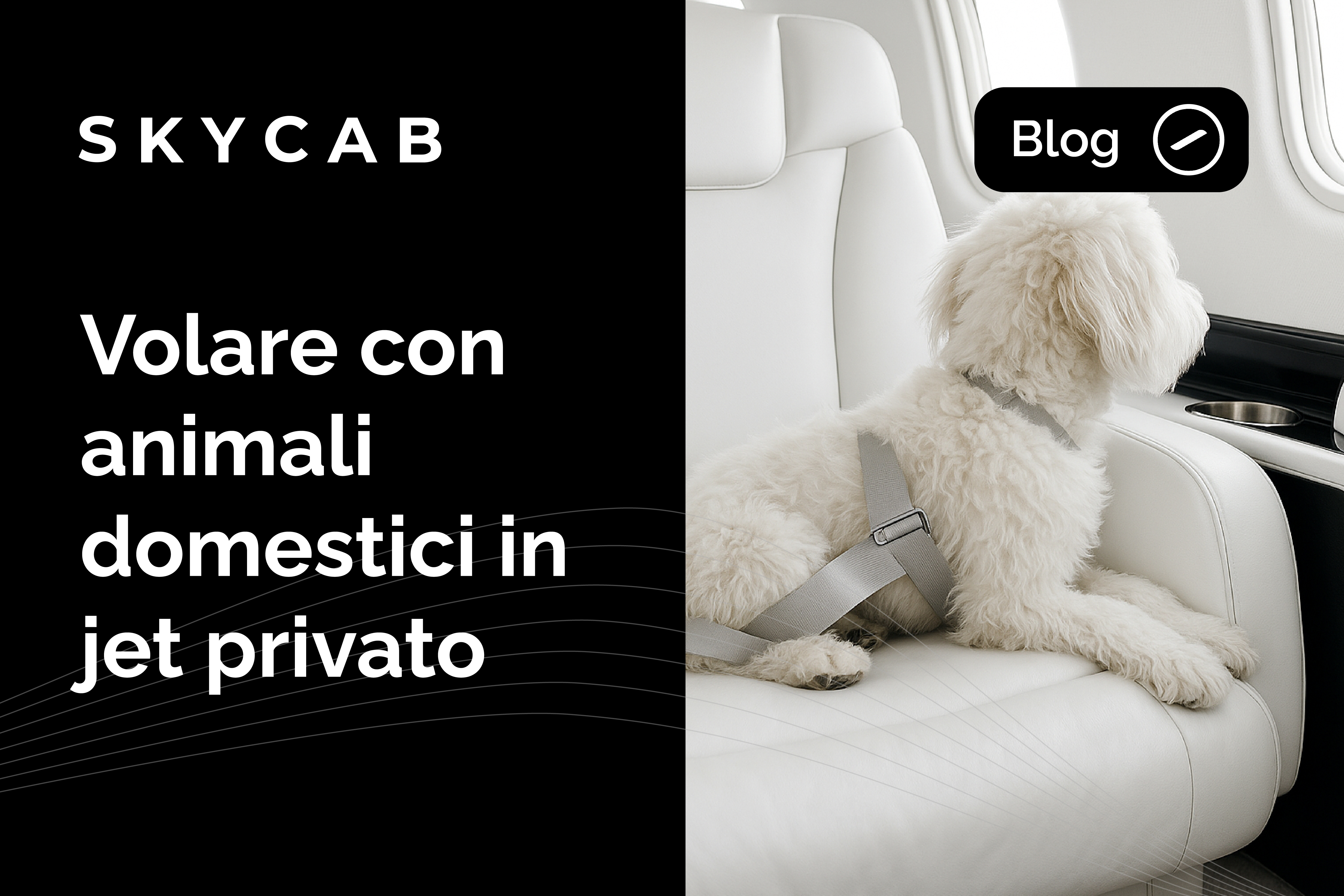 Calcolo del costo di un volo privato - Skycab