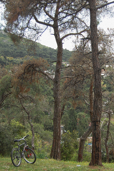 Adalar island Istanbul