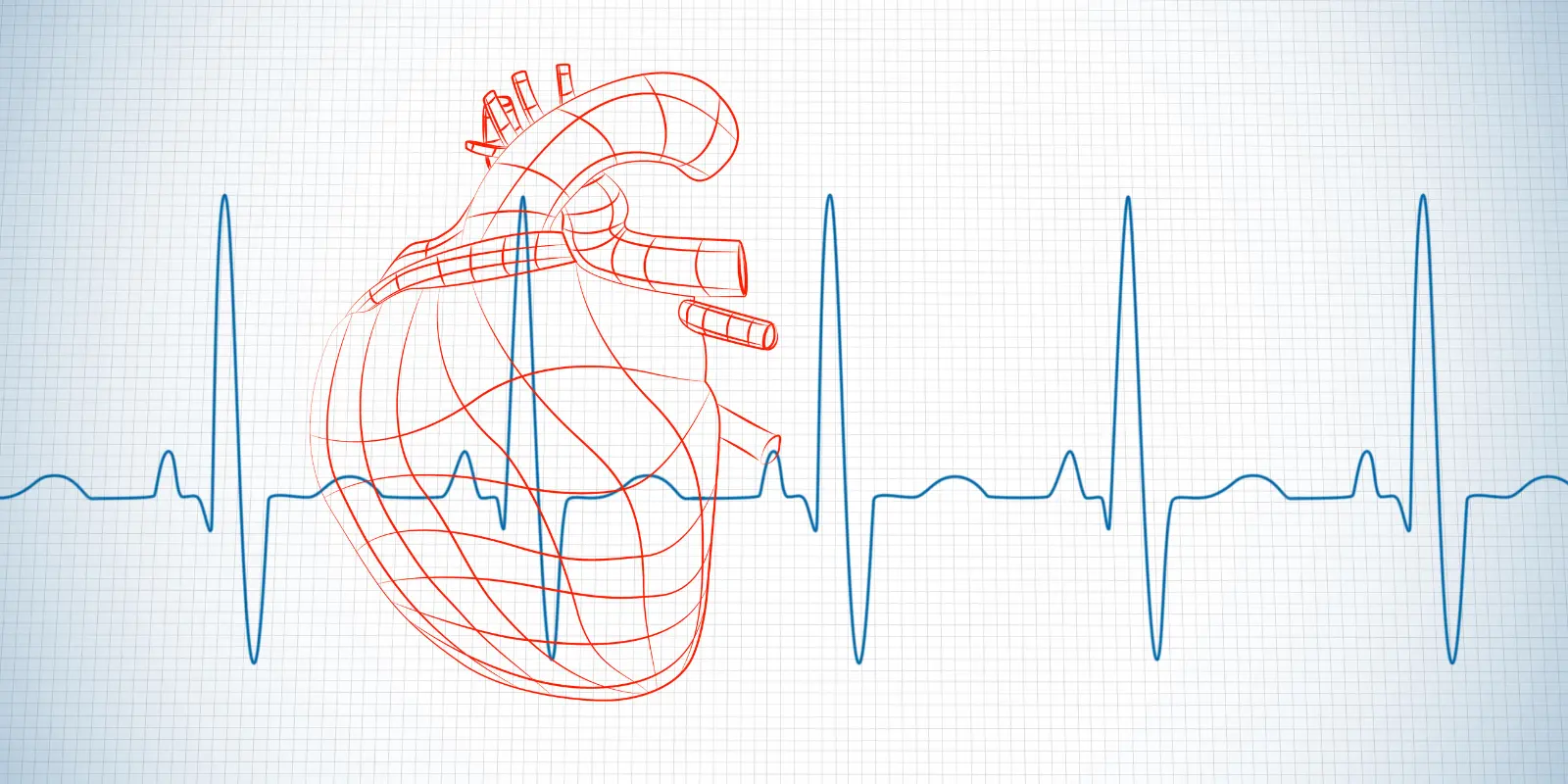 HRV Sport, Herzfrequenzvariabilität Training, HRV Erholung, Sportler Regeneration, Trainingssteuerung, HRV verbessern, Übertraining vermeiden