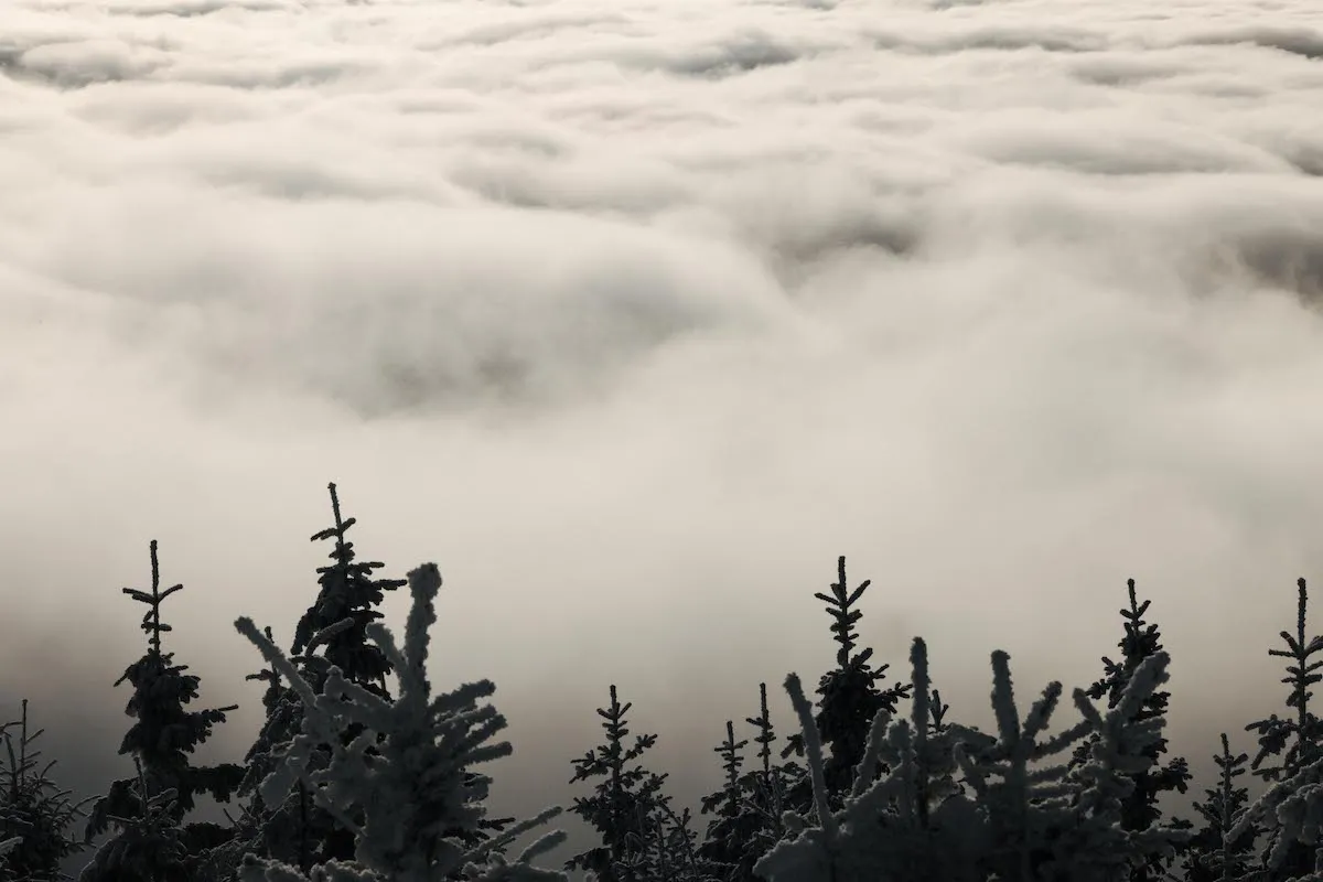 Beaucoup de brouillard lors de notre sortie en raquettes dans les Vosges.