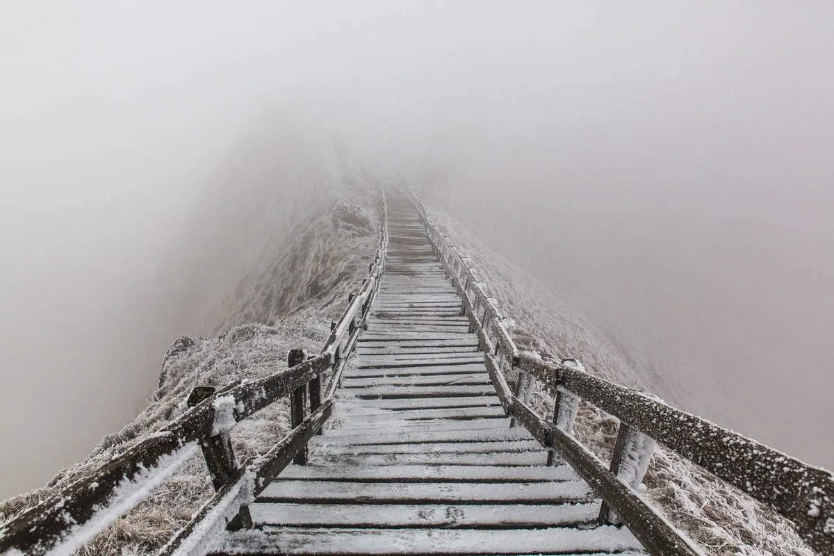 L'arrivée de notre randonnée au sommet du Puy de Sancy