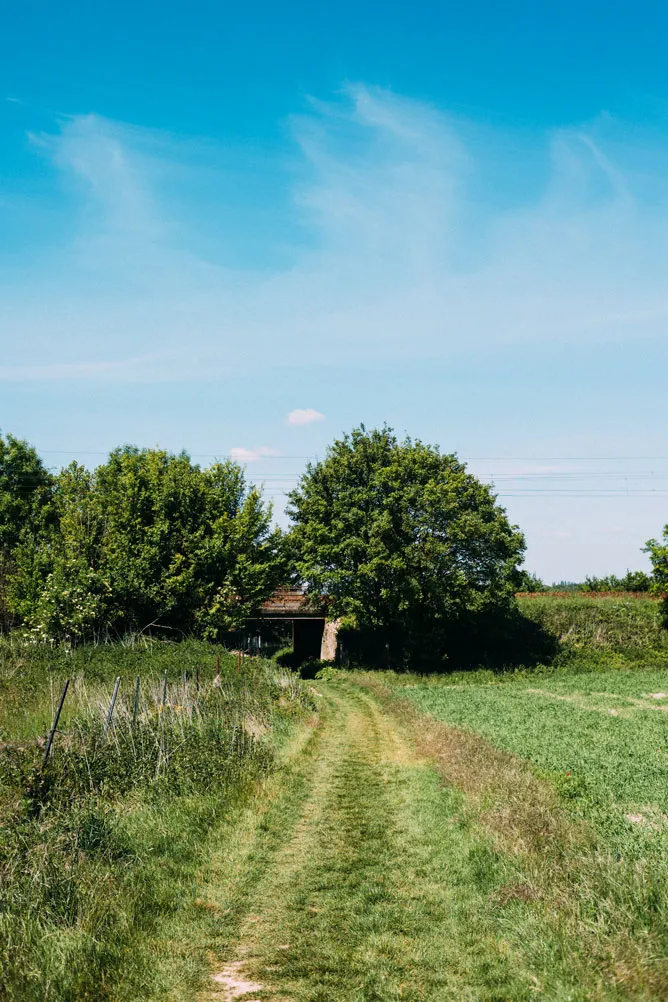 Les itinéraires en gravel au bord de Paris sont champêtres .