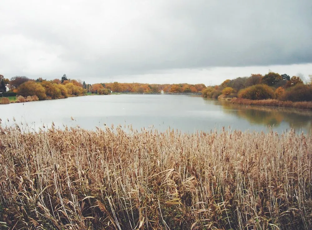 Non loin de Paris, Rambouillet, un cadre idyllique pour une randonnée.