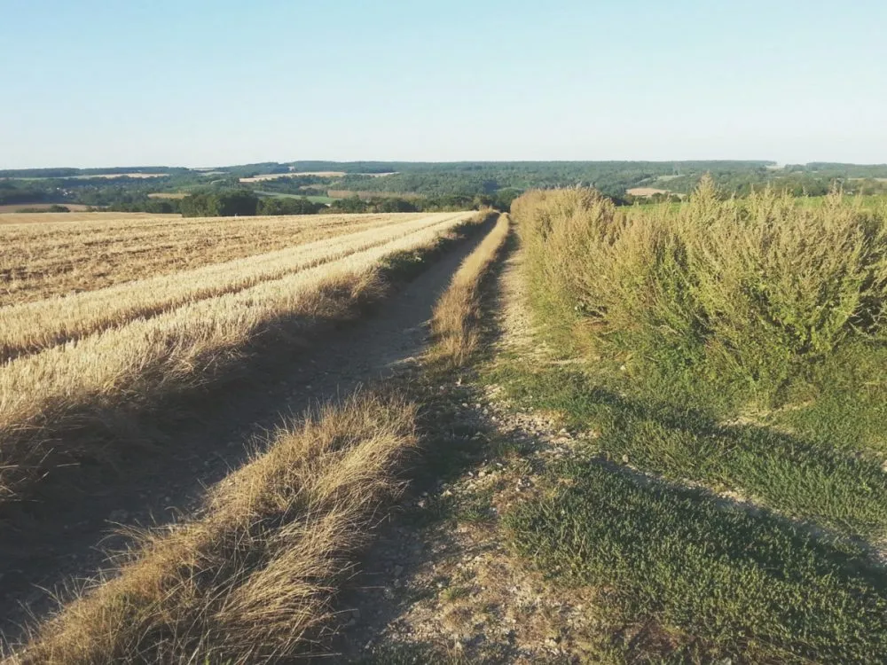 Idée de randonnée à Paris, le Parc naturel régional du Vexin.