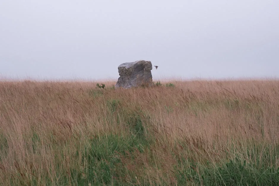 Pour cette randonnée en Bretagne, on a traversé de beaux paysages.