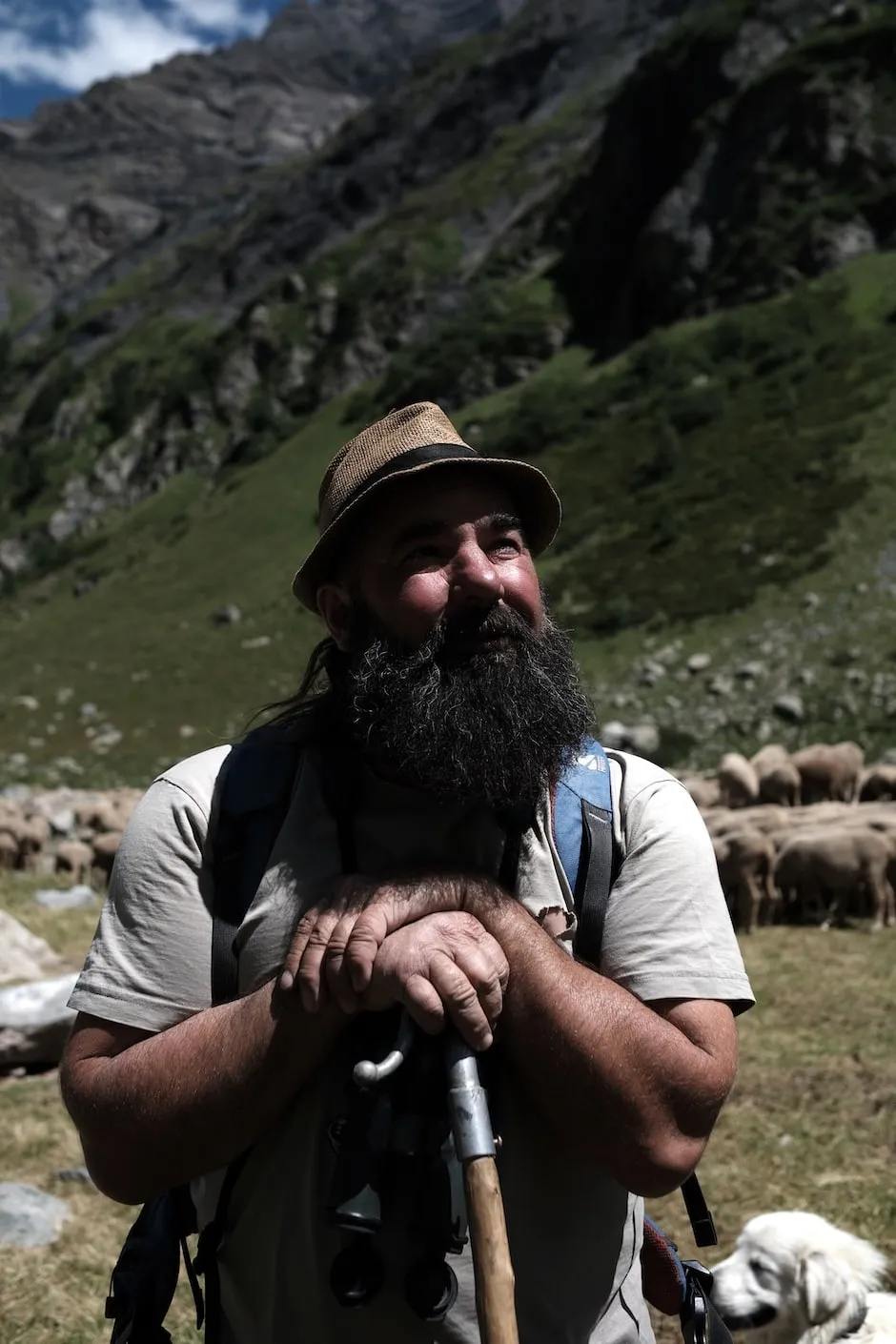 Un berger dans les Ecrins