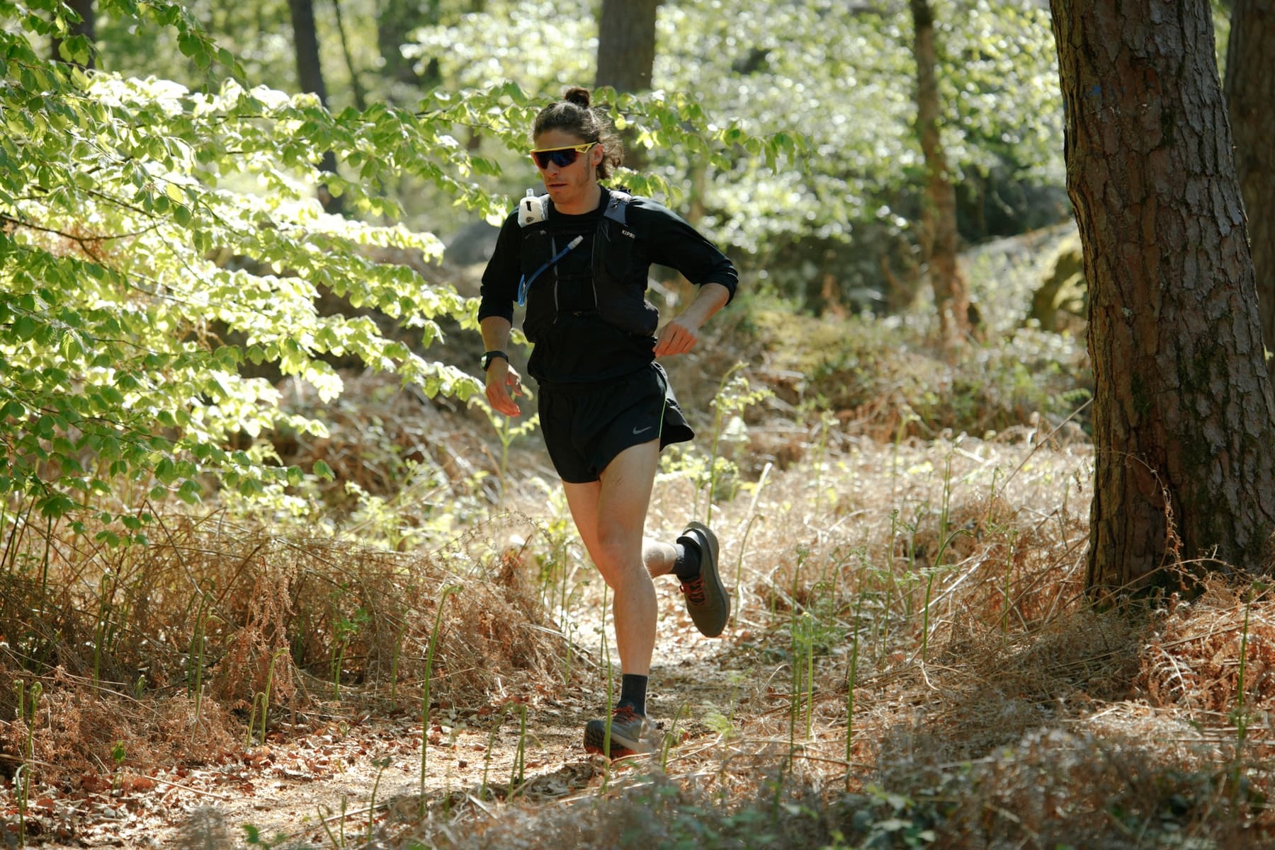 Trail : le guide complet de la nutrition avant, pendant et après la course 