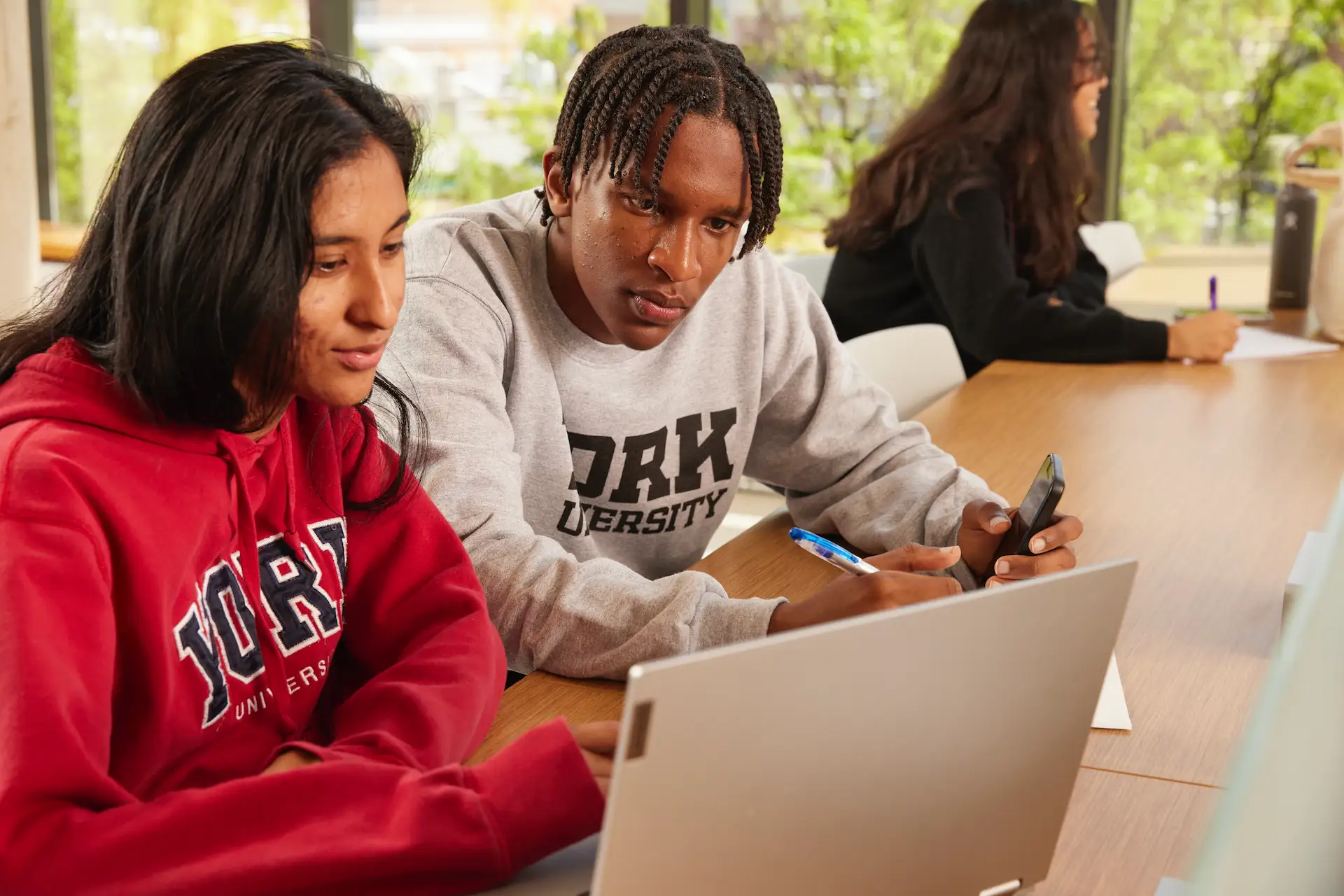 York University students using AppsAnywhere on a laptop