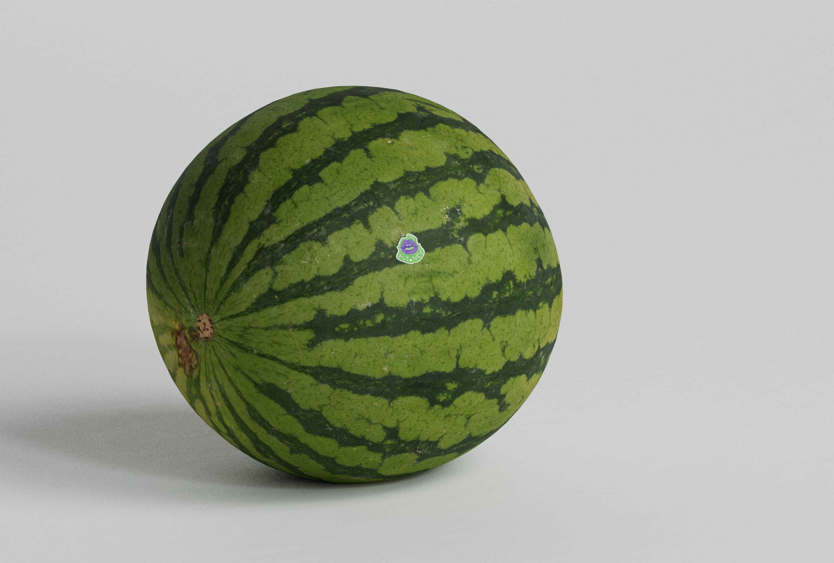 Side view of a watermelon showcasing the Altonics produce sticker. The sticker, with its distinctive purple lip graphic and brand name "ALTONICS," is clearly visible against the watermelon’s green rind. The PLU code is also displayed on the sticker, providing necessary product information. The clean, minimalistic design of the sticker ensures it is functional and attractive. This view emphasizes the practical application of graphic design in produce branding, highlighting the expertise of the branding agency in creating effective and appealing packaging design.
