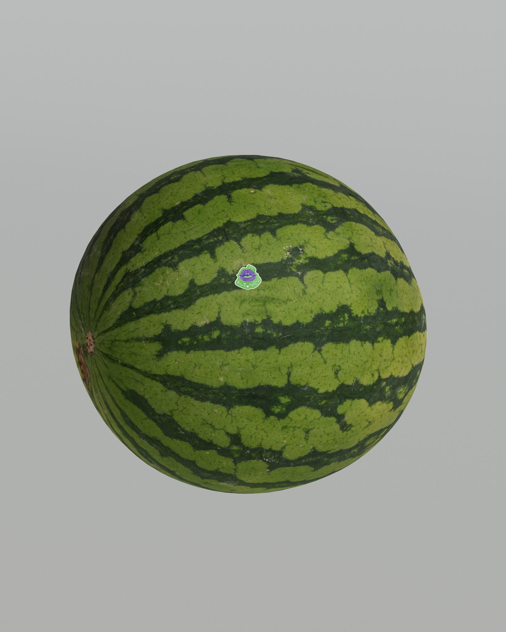 An entire watermelon with a prominent Altonics produce sticker affixed to its surface. The watermelon’s dark green stripes and lighter green background provide a natural contrast to the sticker. The Altonics sticker features a purple lip graphic and the brand name in green and white, along with a PLU code, making it easily recognizable. The image captures the simplicity and effectiveness of the produce sticker in a retail setting, emphasizing the importance of clear branding and effective graphic design. The overall presentation highlights the creative direction and branding expertise of the design studio involved in this project.