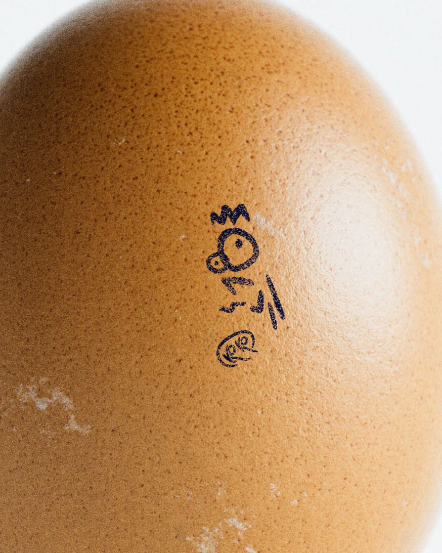 Close-up macro shot of a brown chicken egg shell, cropped to foreground the ink stamp in sharp detail. The stamp comprises a hand-drawn bird character: three jagged crown spikes at the top, a round face with two dot eyes, two diagonal slash marks for legs, and a small circular badge below containing fine additional text. The warm amber shell texture and natural calcium speckle pattern are clearly visible around the mark. Ink stamp illustration applied directly to product surface; brand identity and hand-drawn mark design. Studio portfolio work for a food or farm brand.