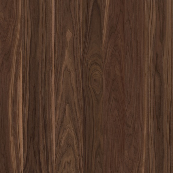 American walnut wood texture – rich dark brown hardwood surface with natural grain and warm tone variation
