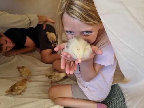 Acton Campus in Austin