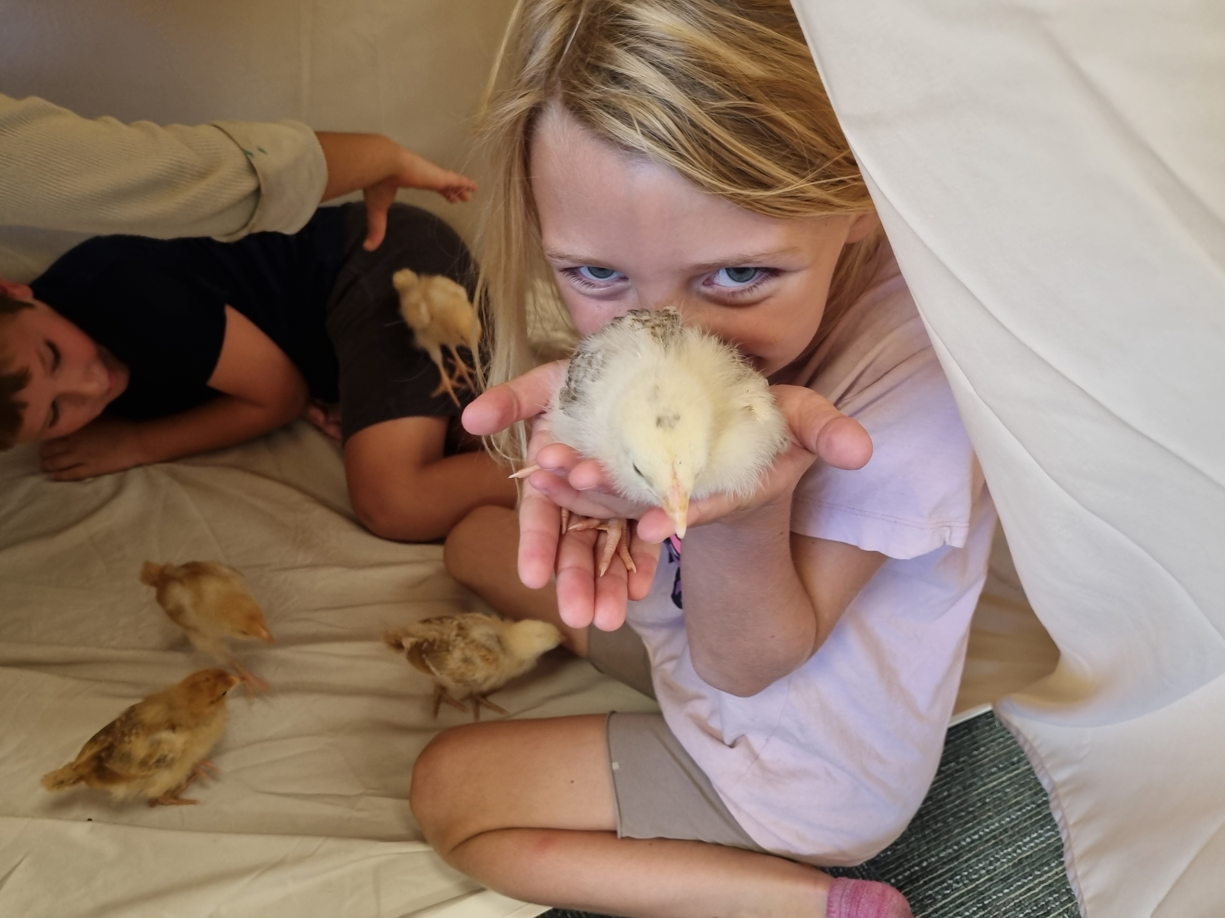 Acton Campus in Austin