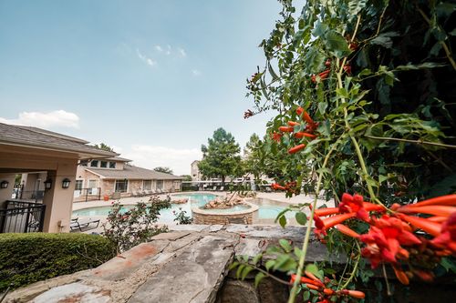 clubhouse pool table